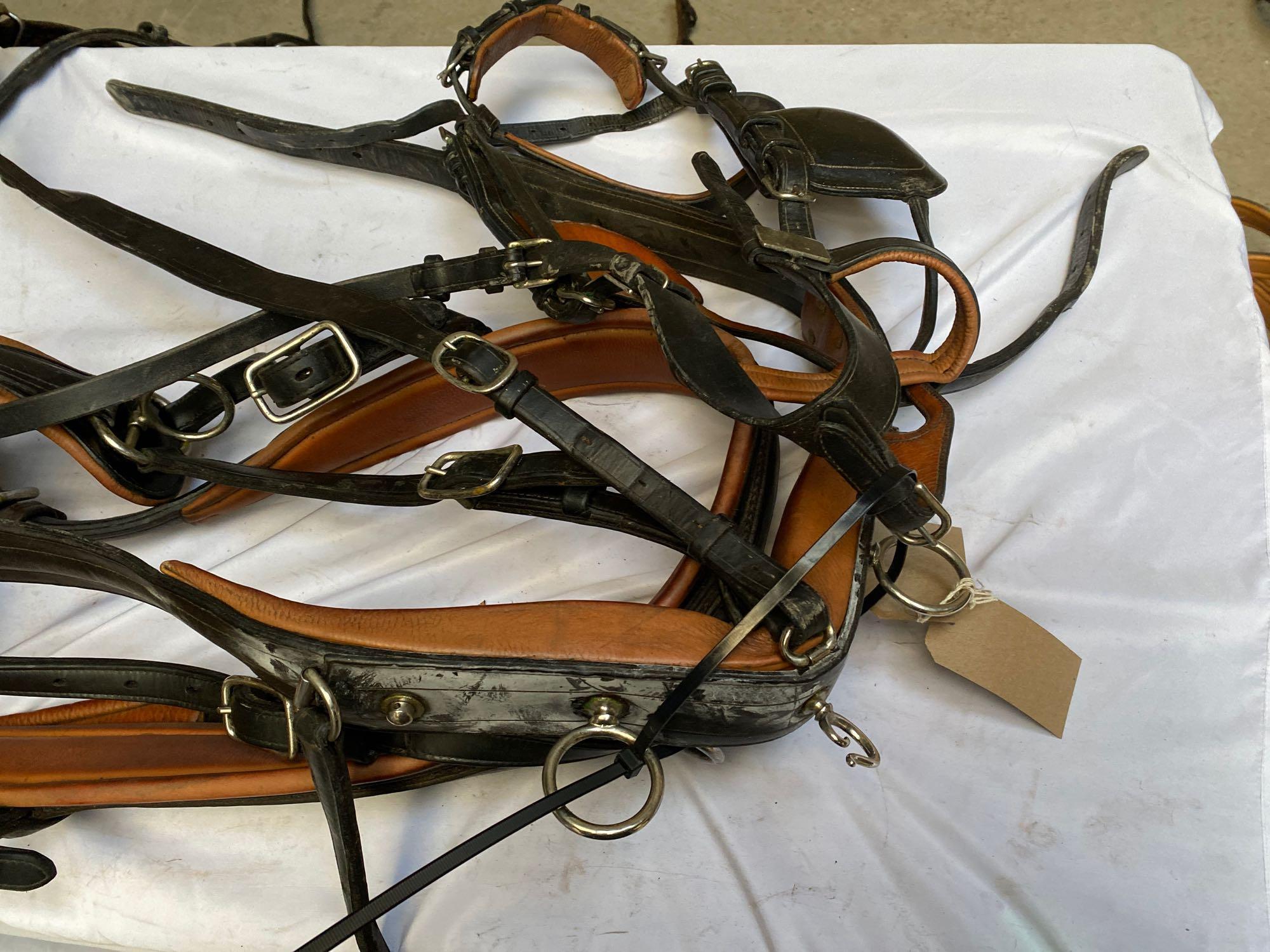 PAIR or Leader set of black and brown Van der Wiel full size harness - Image 3 of 4