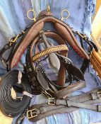 Set of brown/brass cob size breastcollar harness