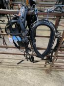 Set of Shetland leather harness with 16" collar. This lot carries VAT.