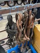 Four pairs leather driving reins and a pair of webbing driving reins