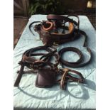 Set of English brown leather cob size single harness