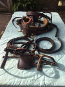 Set of English brown leather cob size single harness