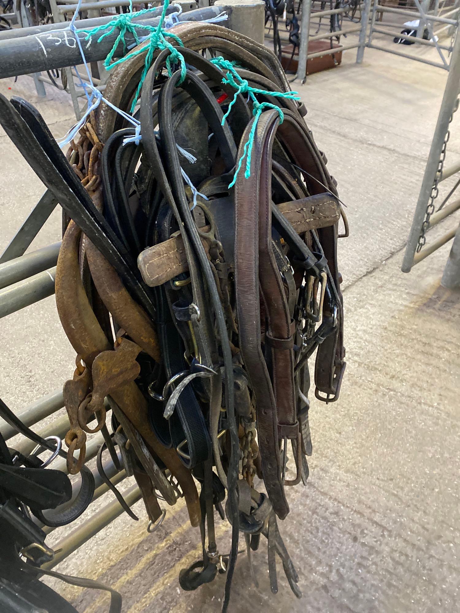 Quantity of assorted harness