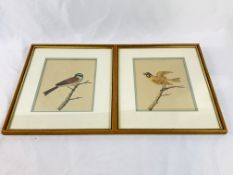 Two framed and glazed watercolours of birds