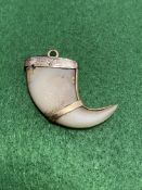 Gold mounted claw pendant.