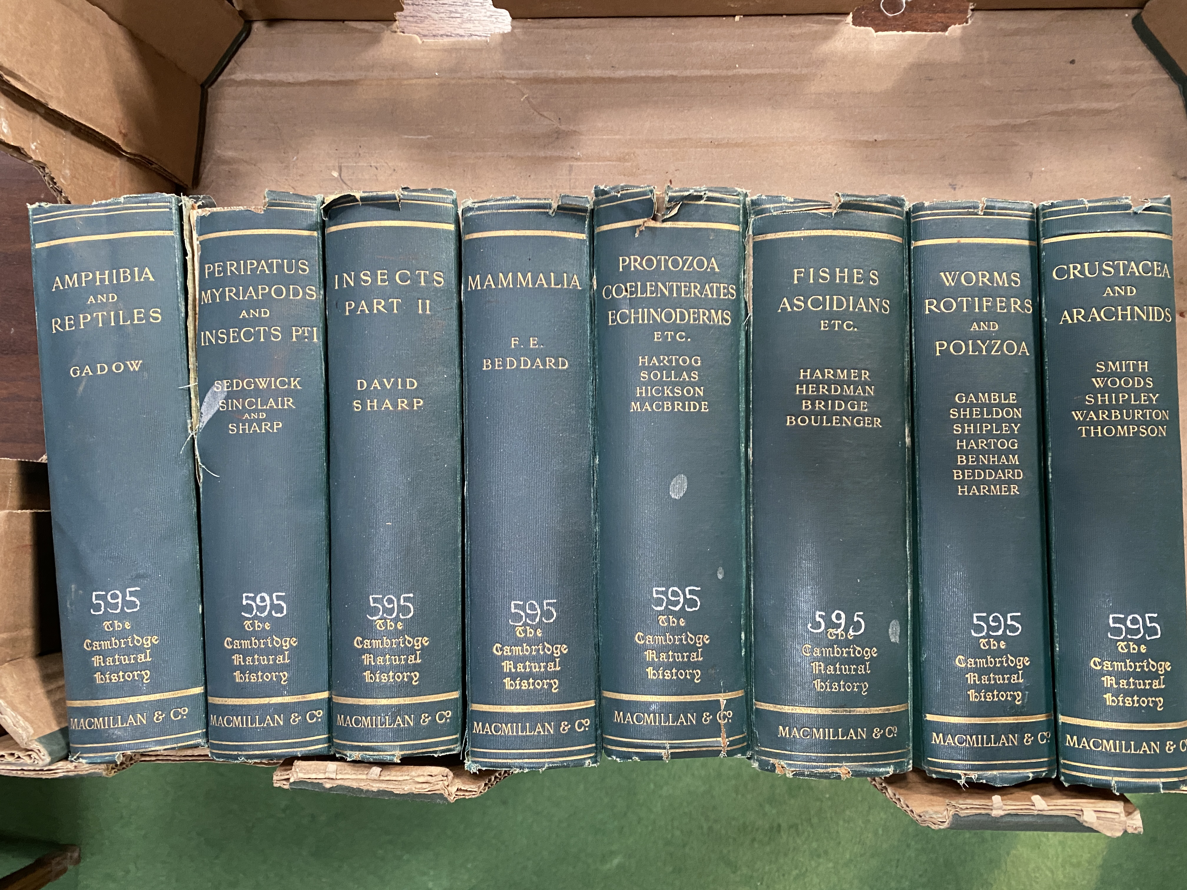 The Cambridge Natural History, eight volume set