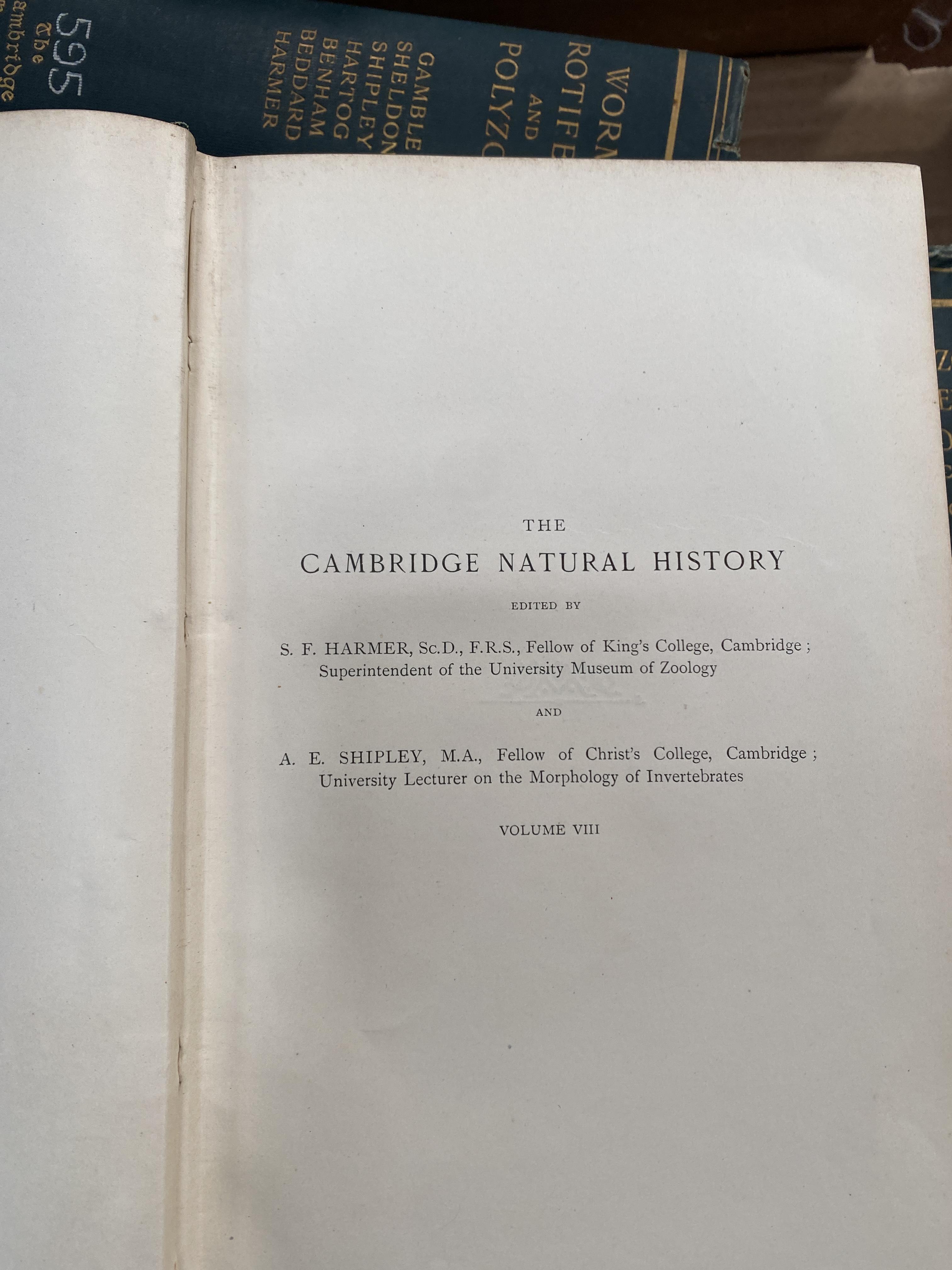 The Cambridge Natural History, eight volume set - Image 3 of 4