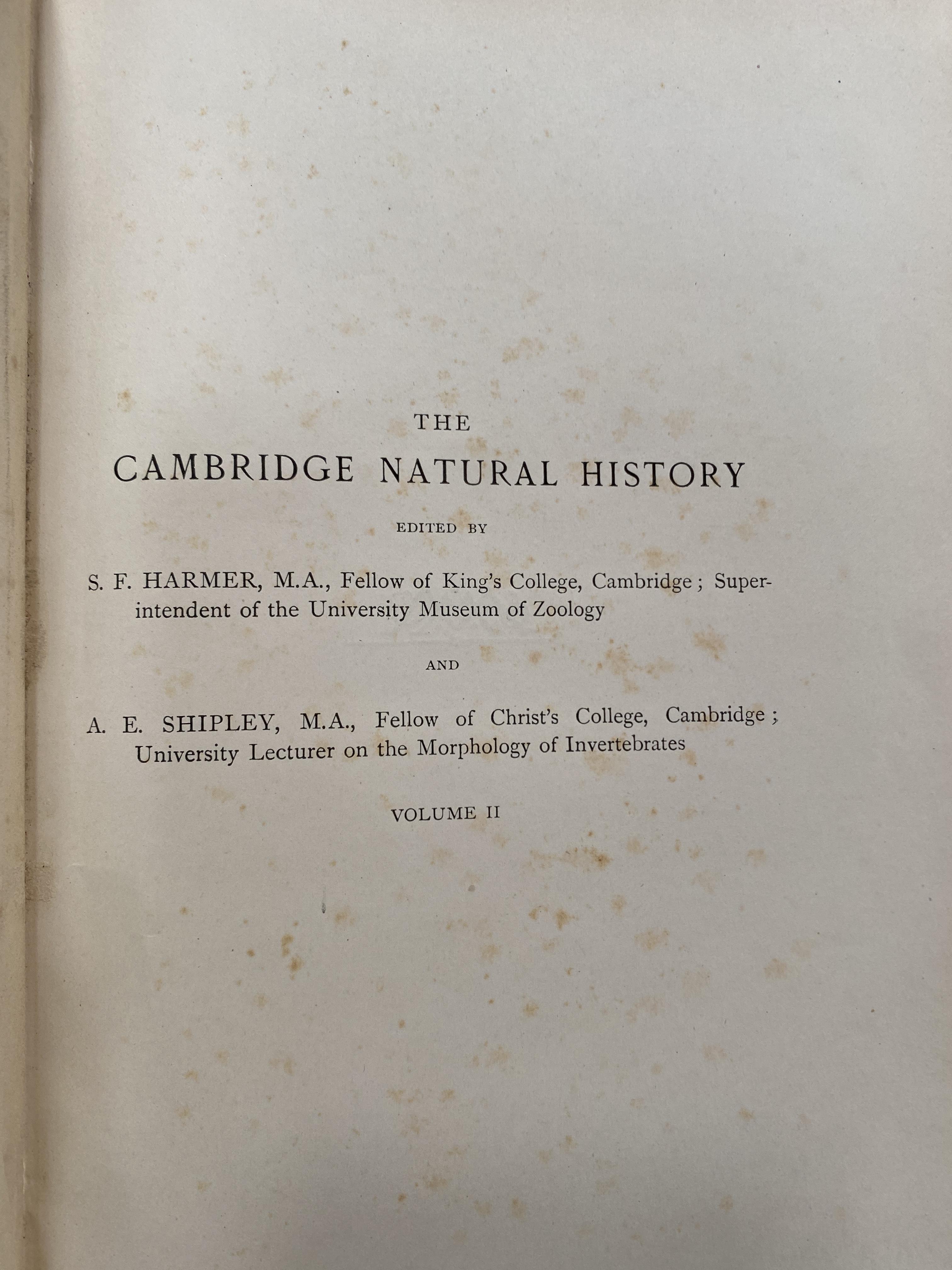 The Cambridge Natural History, eight volume set - Image 2 of 4
