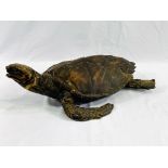 A taxidermy turtle. CITES regulations may be applicable to this lot.