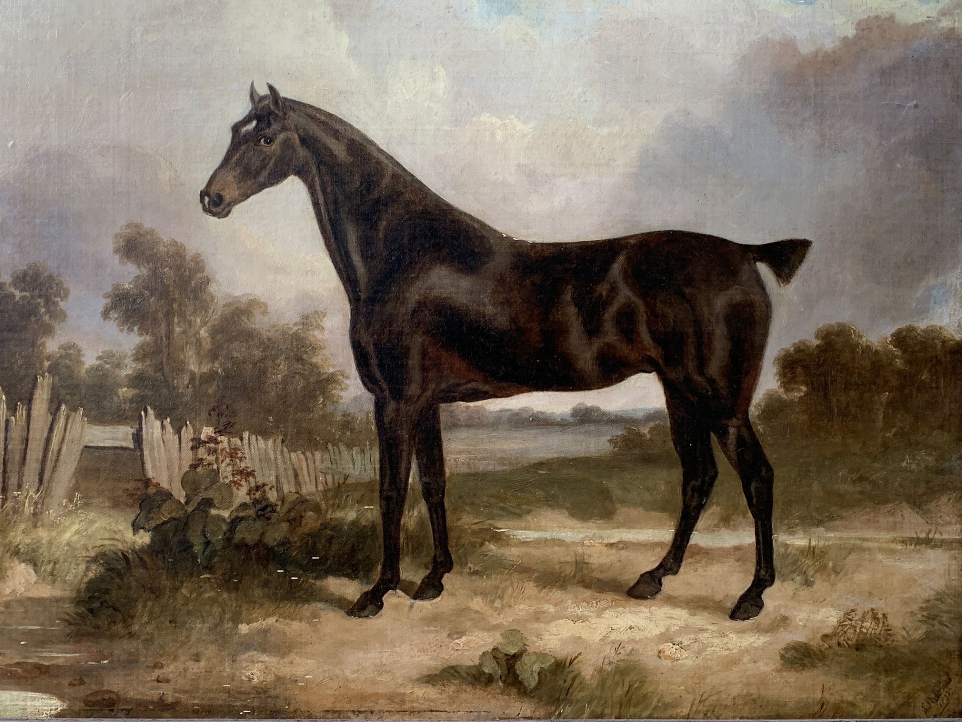 Framed oil on board of a horse, plaque written Samuel John Egbert Jones - Bild 4 aus 6
