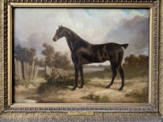 Framed oil on board of a horse, plaque written Samuel John Egbert Jones