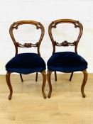 Pair of balloon back dining chairs