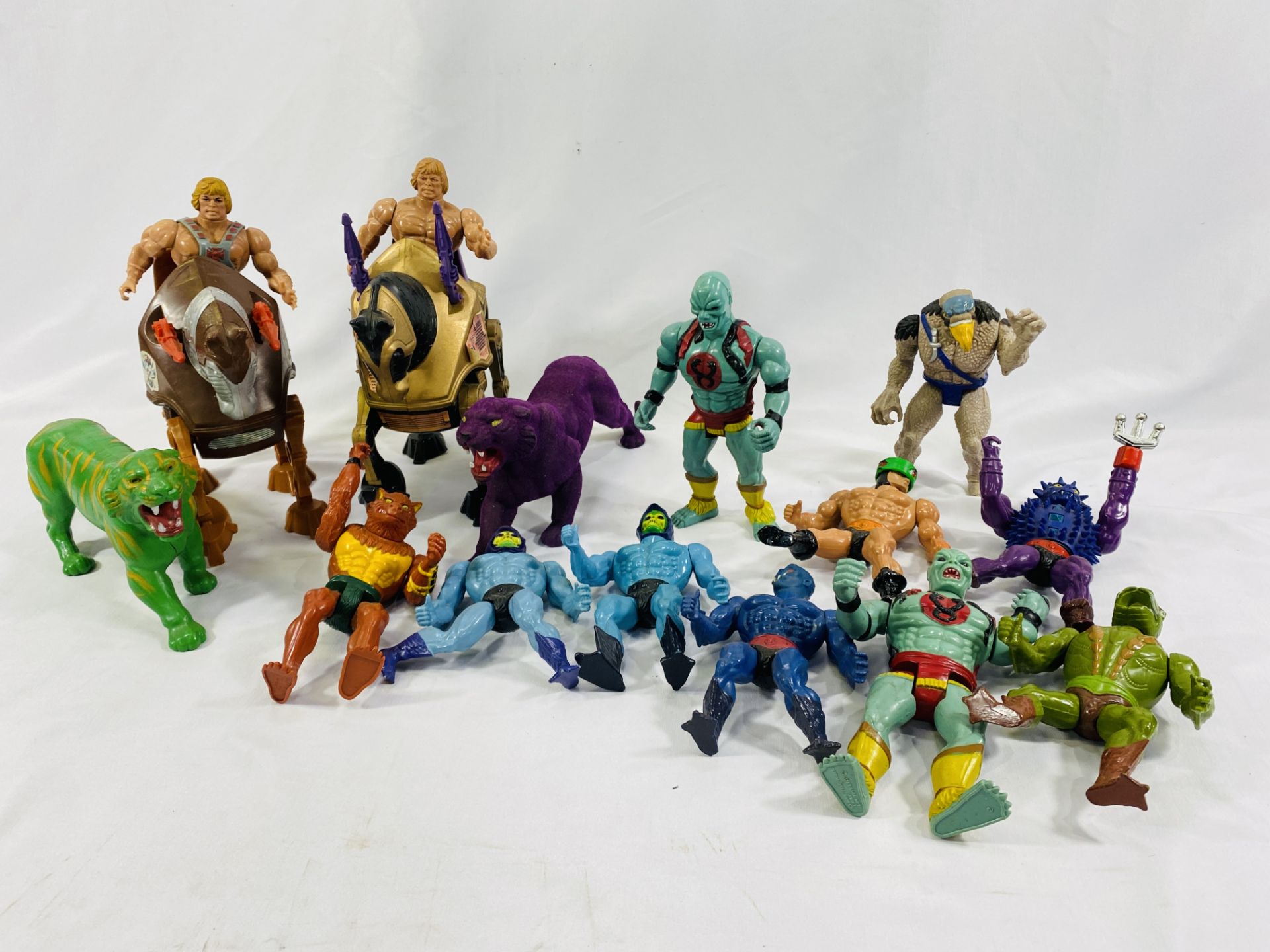 A collection of Masters of the Universe figures