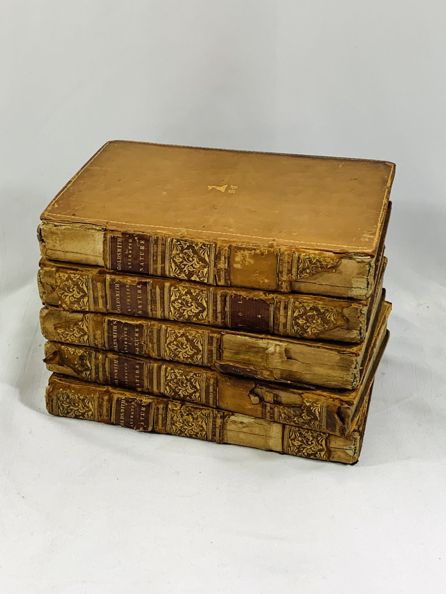 SIx leather bound volumes A History of Earth