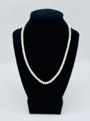 Pearl necklace with 14ct gold clasp