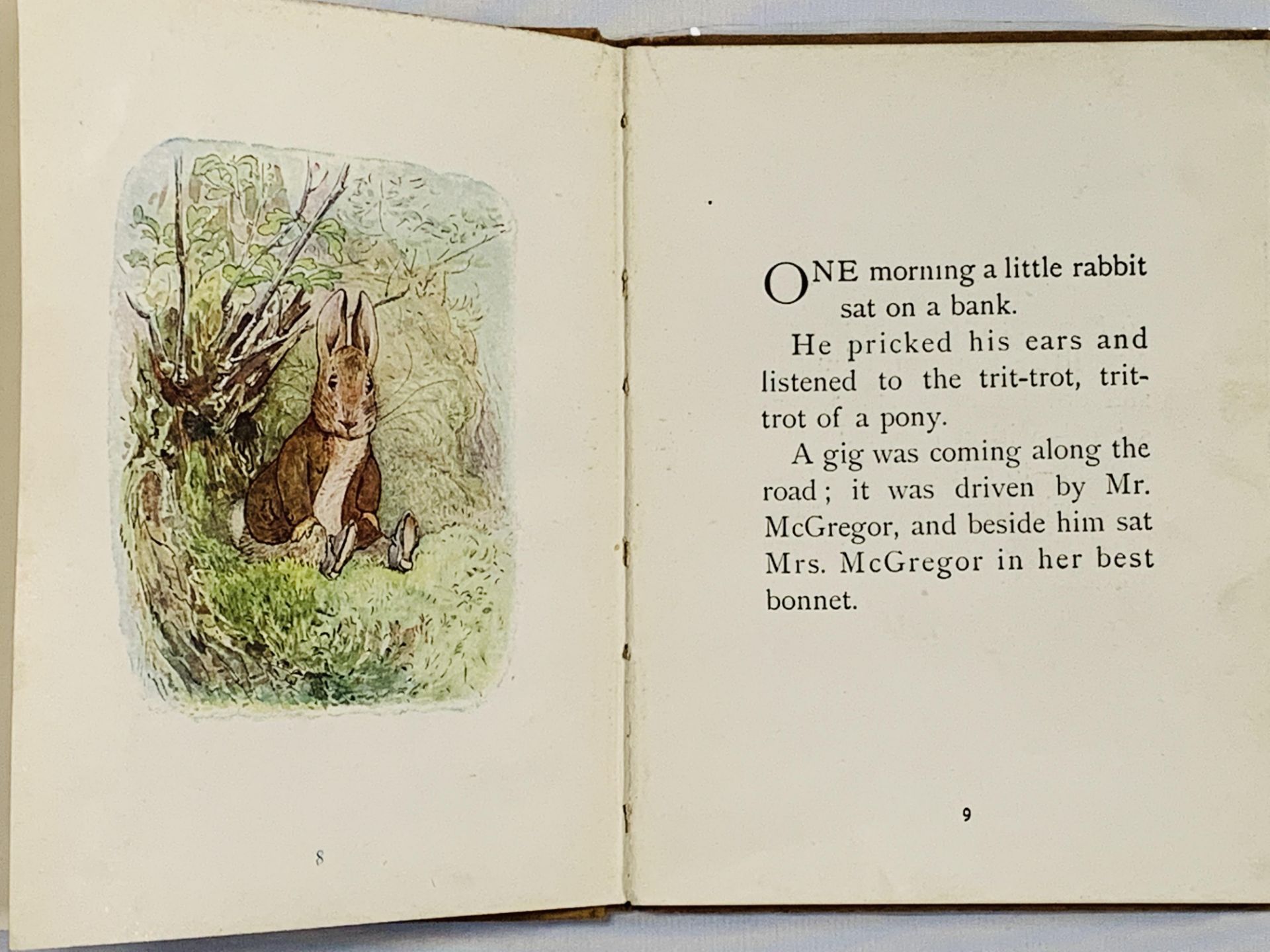 The Tale of Benjamin Bunny by Beatrix Potter - Bild 6 aus 6