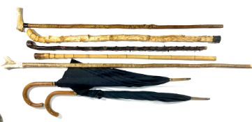 Collection of walking sticks