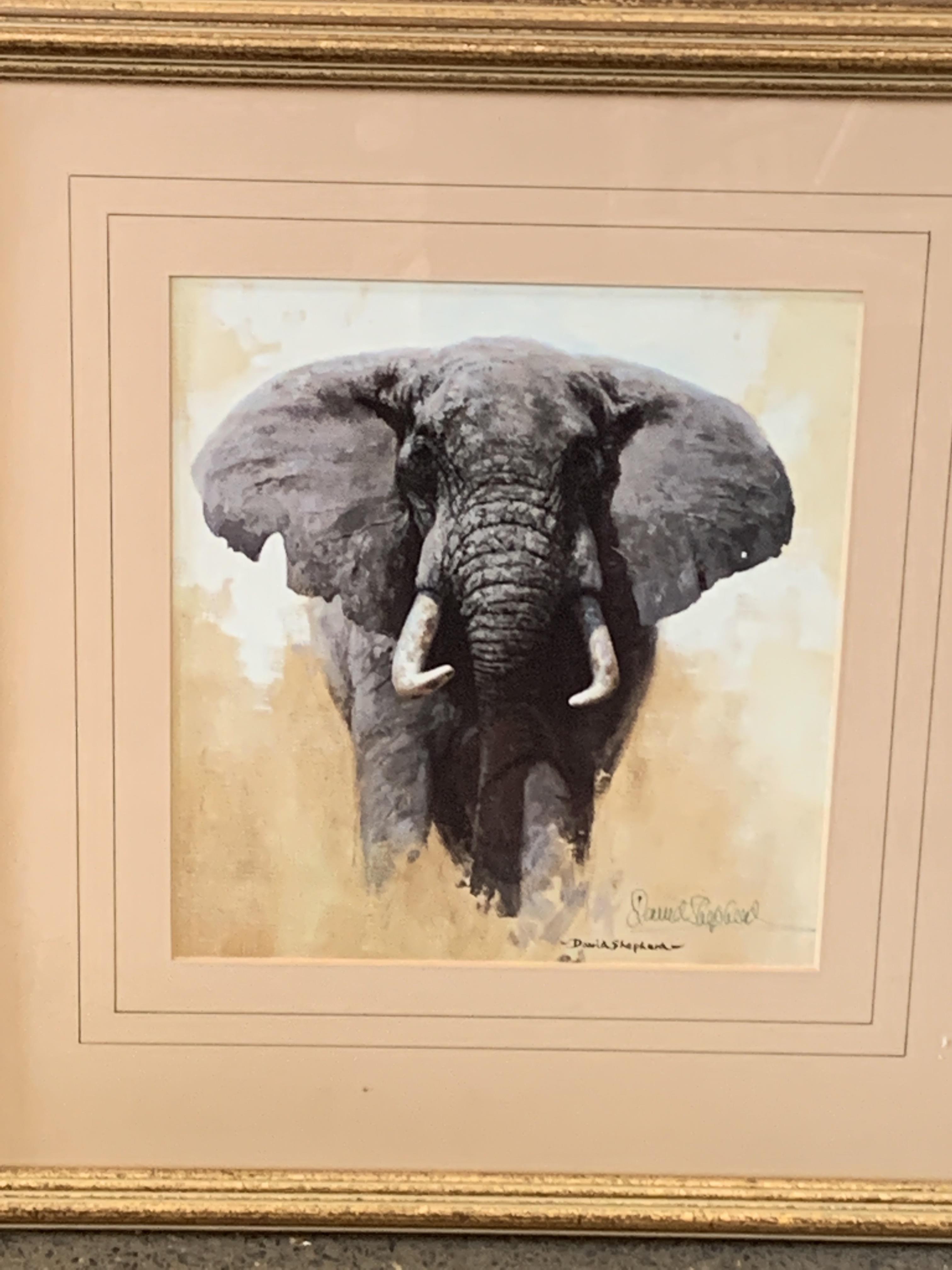 Two framed prints by David Shepherd