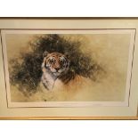 Limited edition print signed by David Shepherd