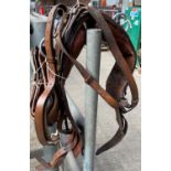 Brown leather roller complete with side reins