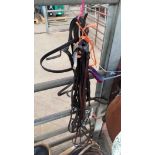 Fine leather pony size double bridle with sewn reins