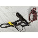 Large leather headcollar with black and red webbing leadrope