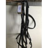 Black bridle and reins.