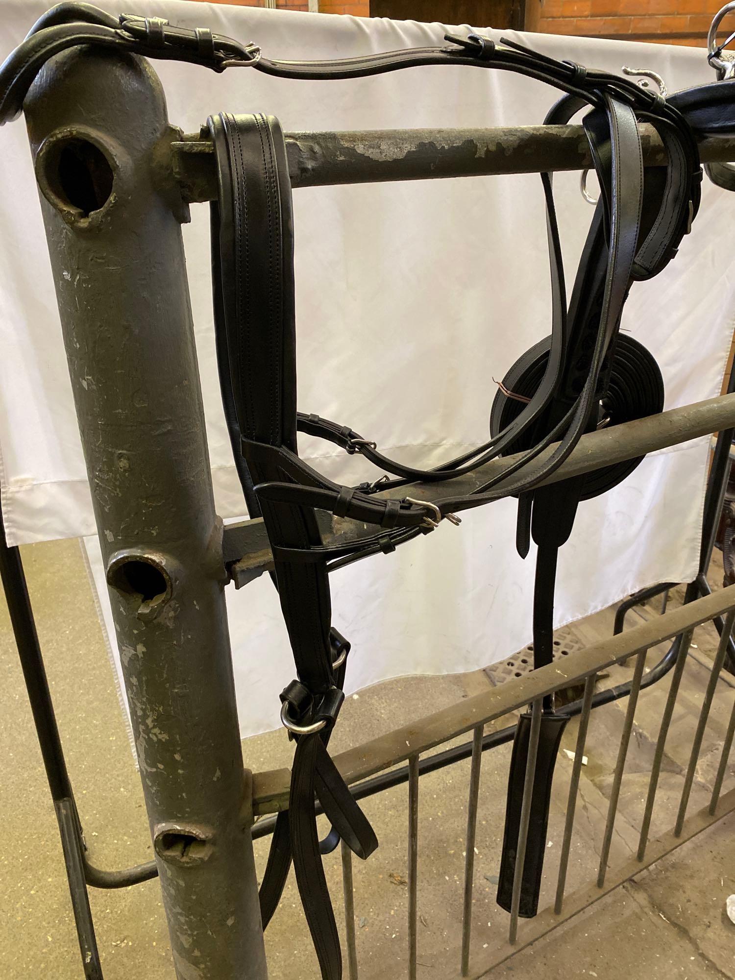 Set of PAIR harness, black and white metal with 23" collars. This lot carries VAT. - Image 10 of 14