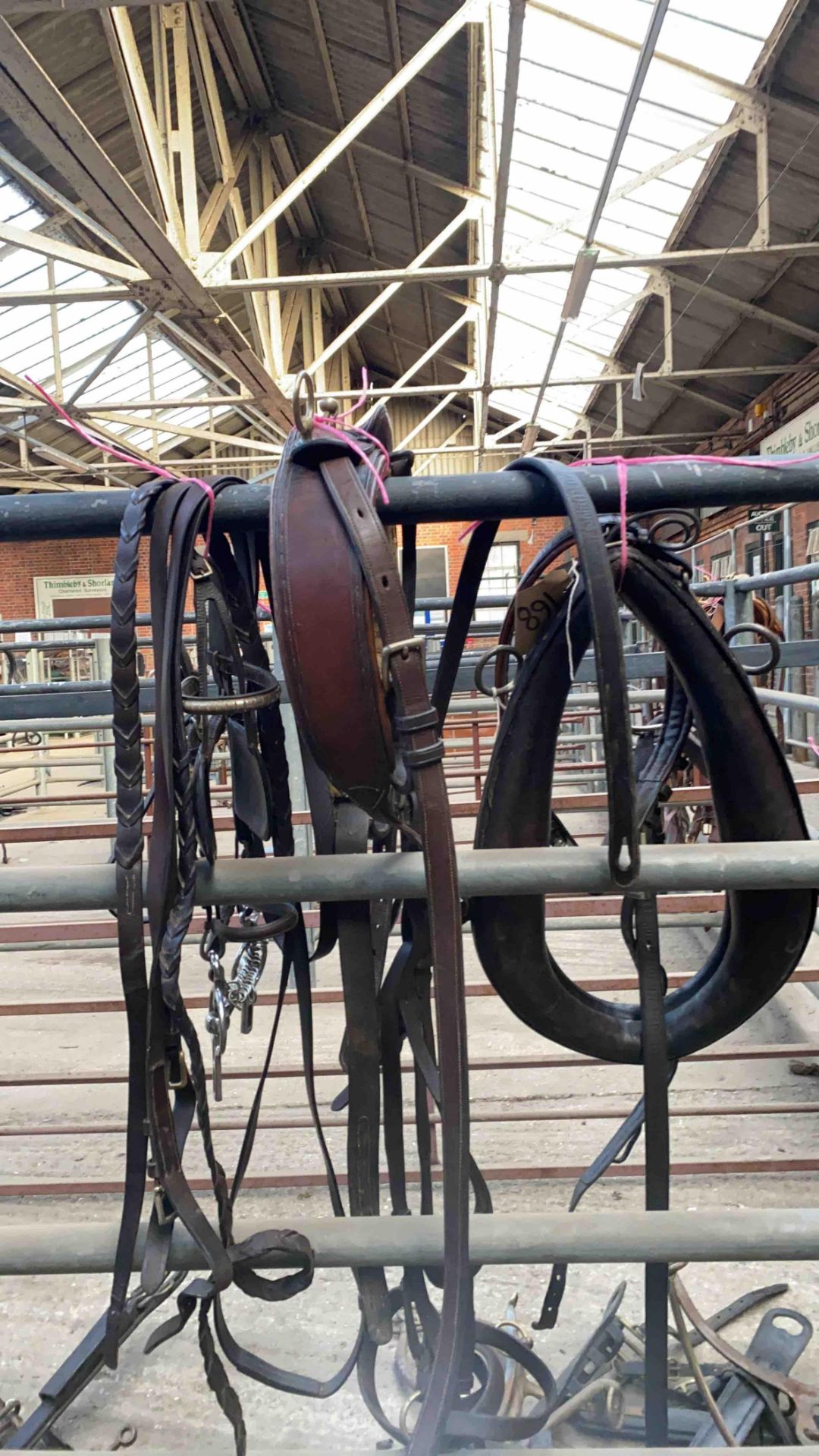 Set of black English leather pony collar harness, 17.5" collar - Image 2 of 2