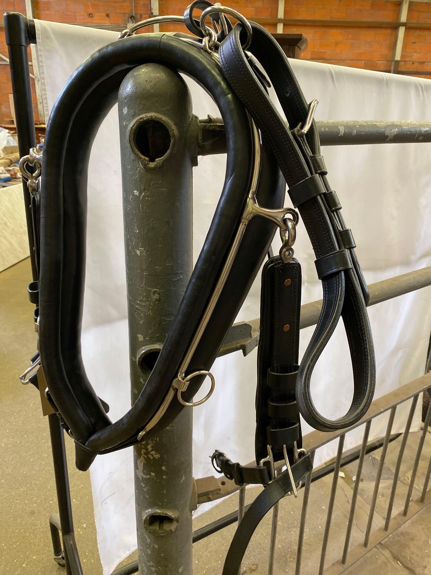 Set of PAIR harness, black and white metal with 23" collars. This lot carries VAT. - Image 2 of 14