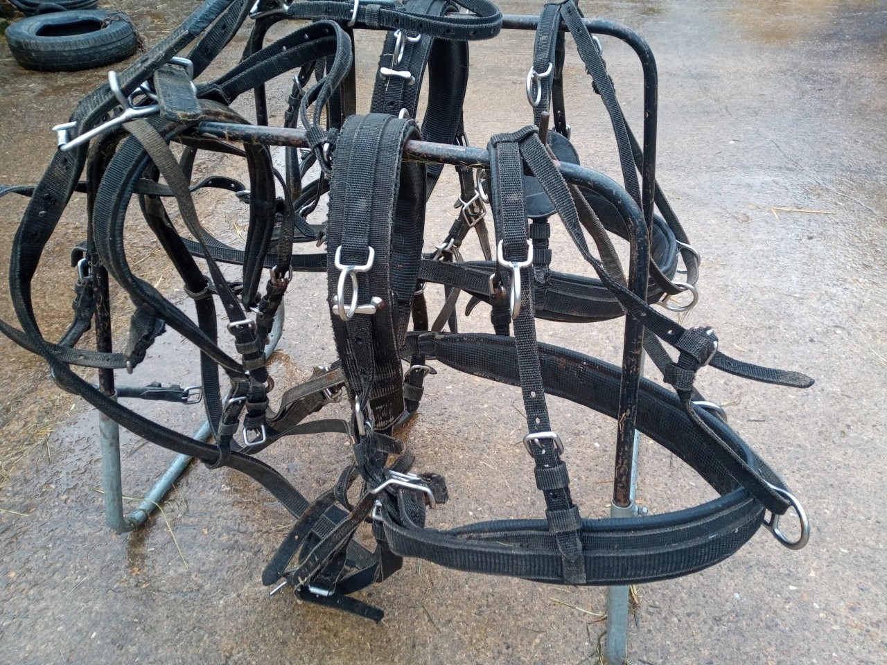 Set of Ideal webbing pony PAIR harness. - Image 2 of 2
