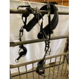 Set of cob harness with empathy collar made of biothane. This lot carries VAT.