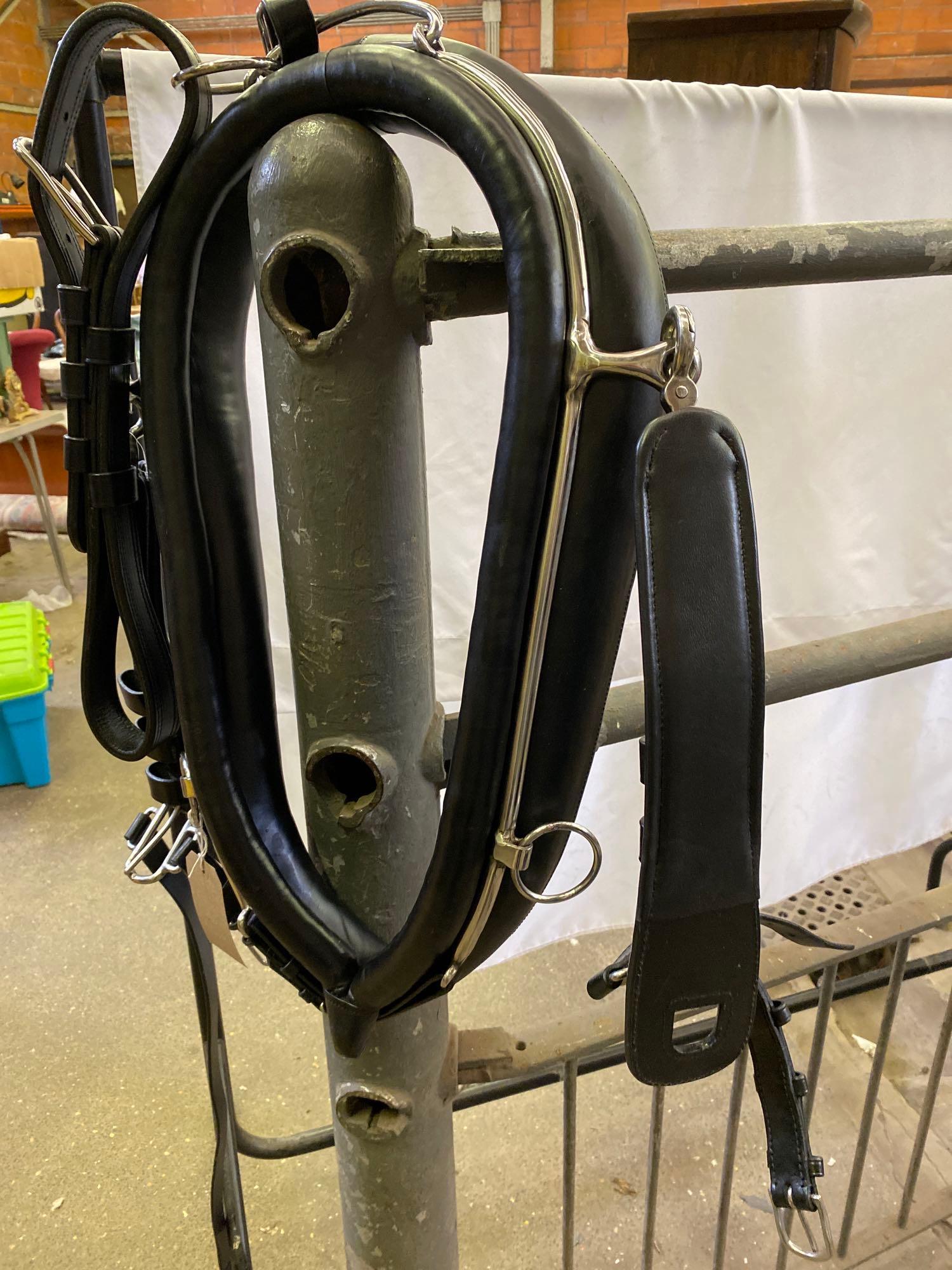 Set of PAIR harness, black and white metal with 23" collars. This lot carries VAT. - Image 13 of 14