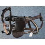 Tedman Pony Bridle