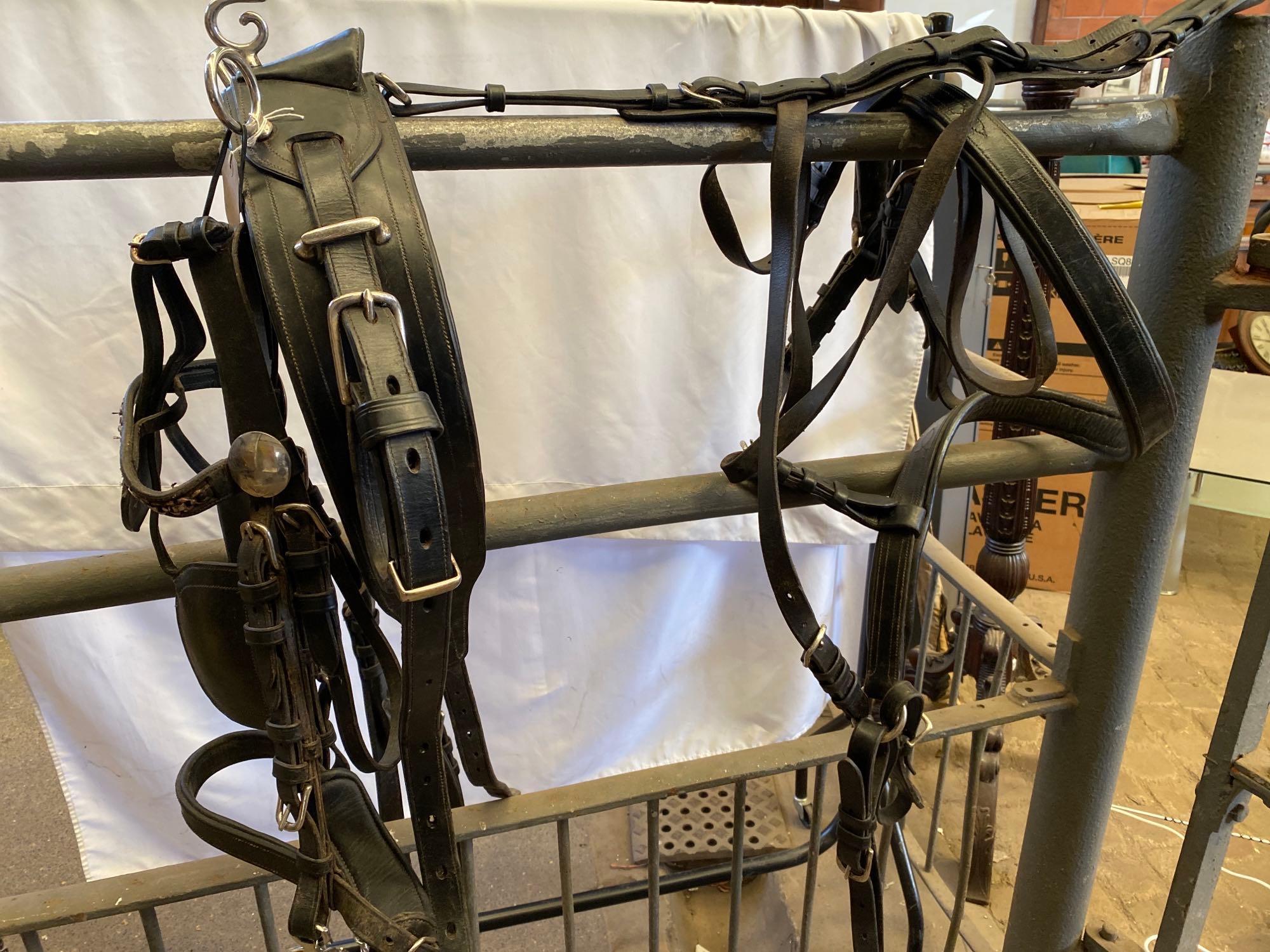 Set of Ideal full size harness black and white metal. This lot carries VAT. - Image 4 of 7