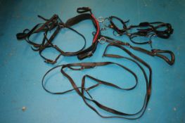 Set of Pony harness.