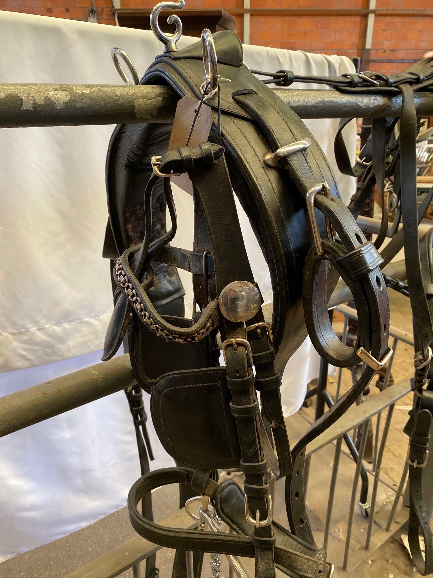Set of Ideal full size harness black and white metal. This lot carries VAT. - Image 5 of 7