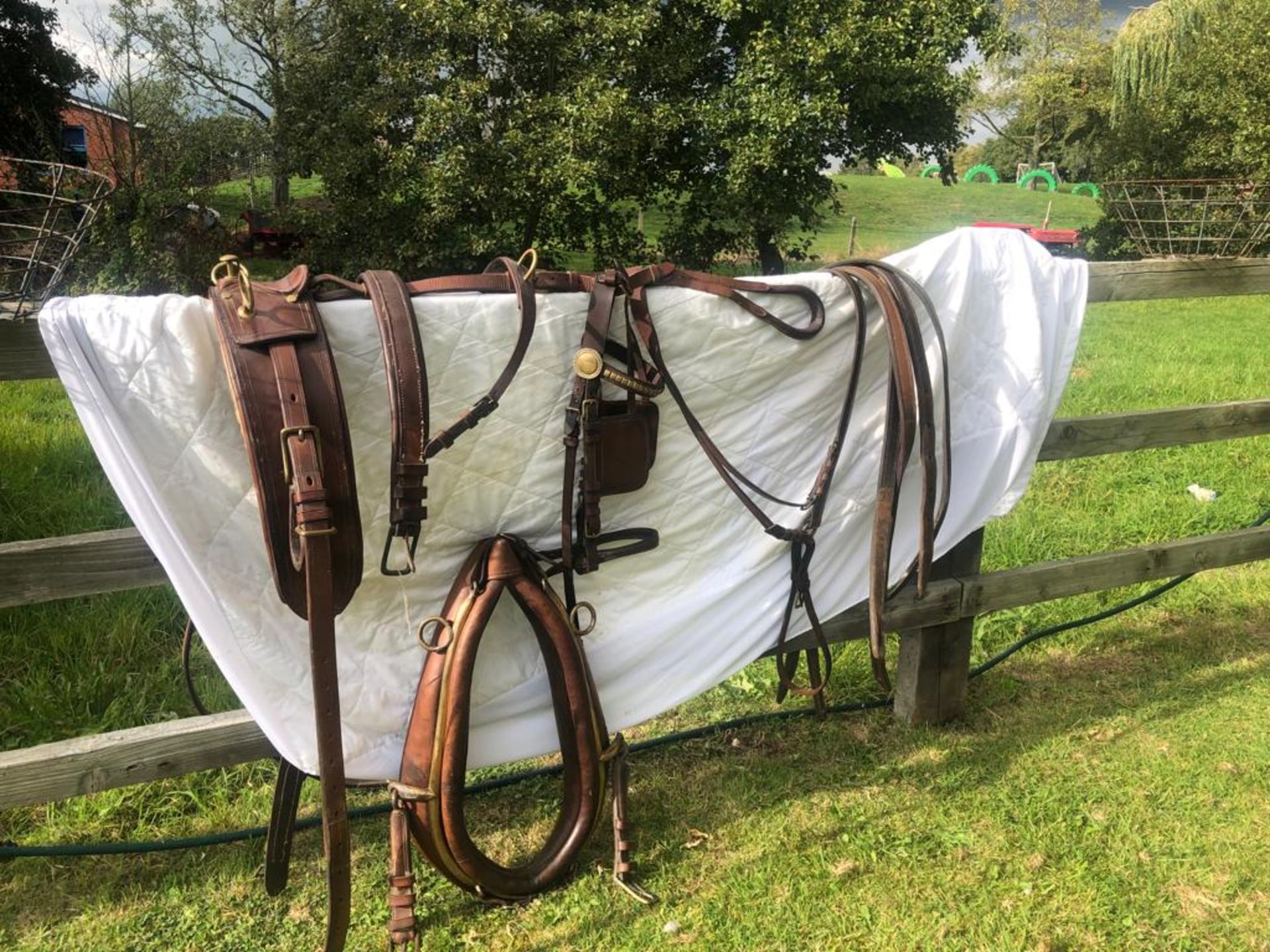 Set of traditional brown and brass harness with 20” collar, breastcollar, and 2 sets of traces.