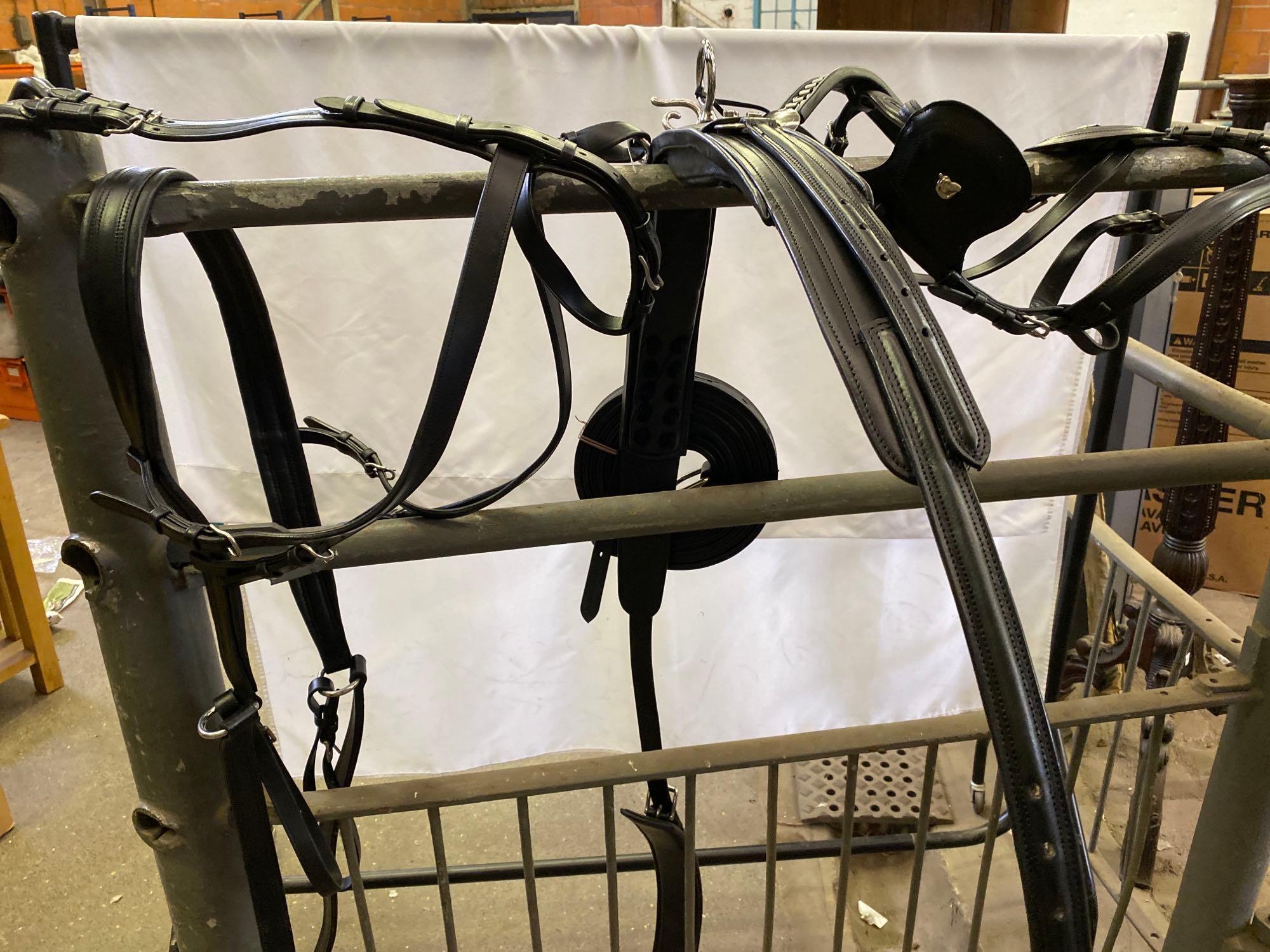 Set of PAIR harness, black and white metal with 23" collars. This lot carries VAT. - Image 9 of 14