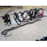 Set of leather/webbing horse PAIR harness.