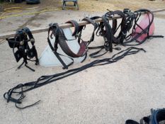 Set of leather/webbing horse PAIR harness.