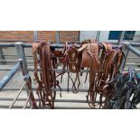 Set of tan leather PAIR harness