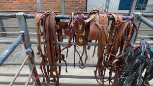 Set of tan leather PAIR harness