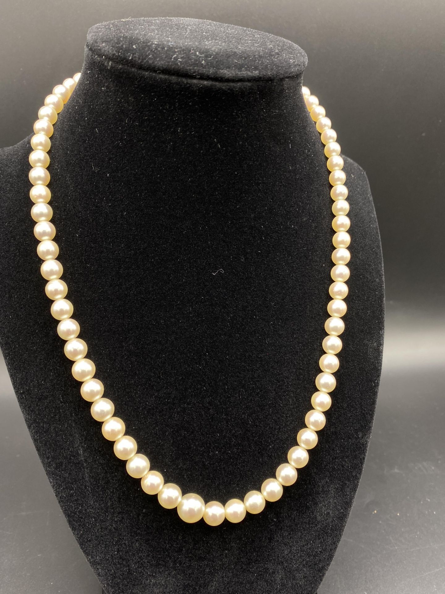 Pearl necklace with matching earrings - Image 3 of 7