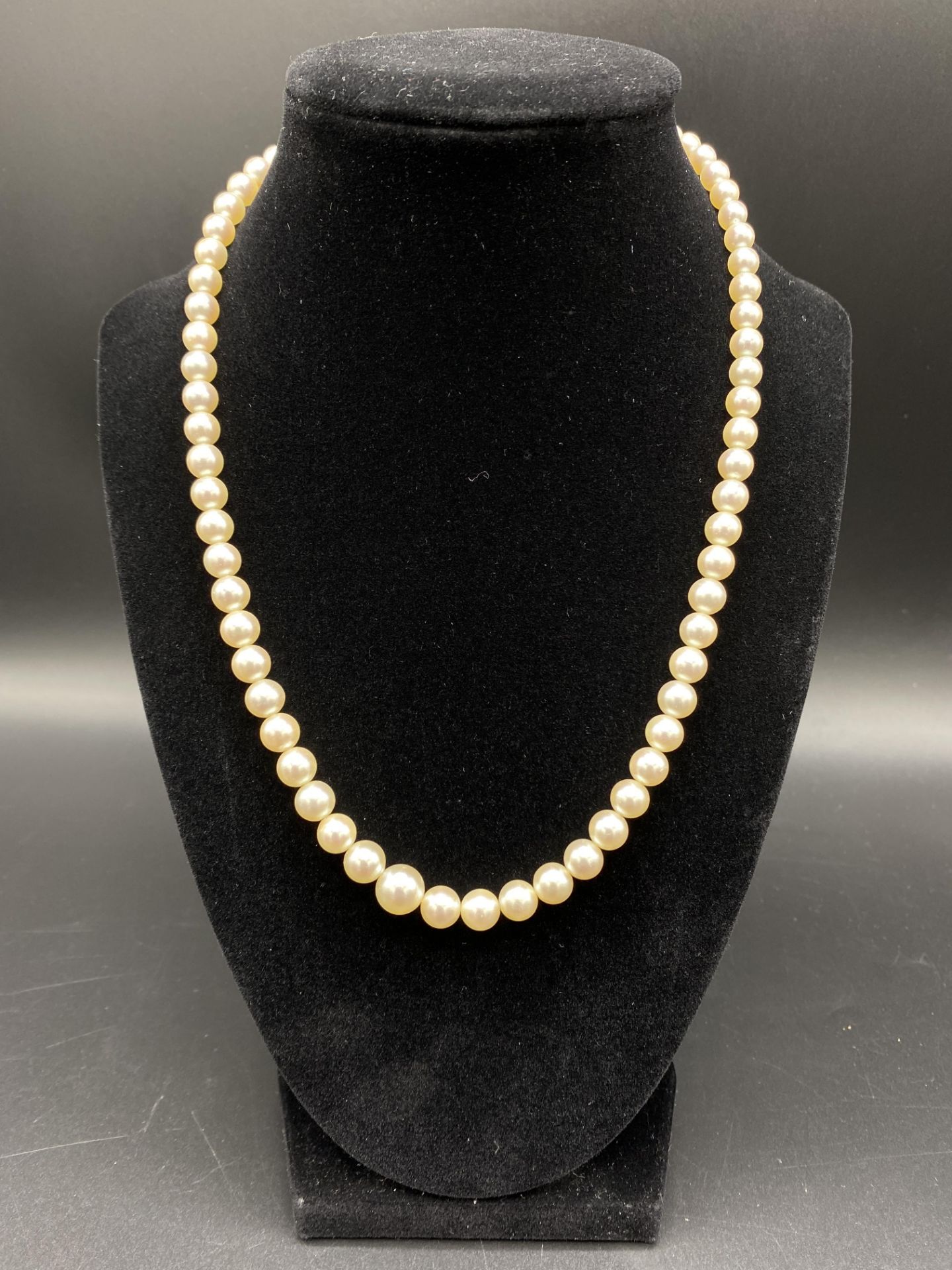 Pearl necklace with matching earrings - Image 2 of 7