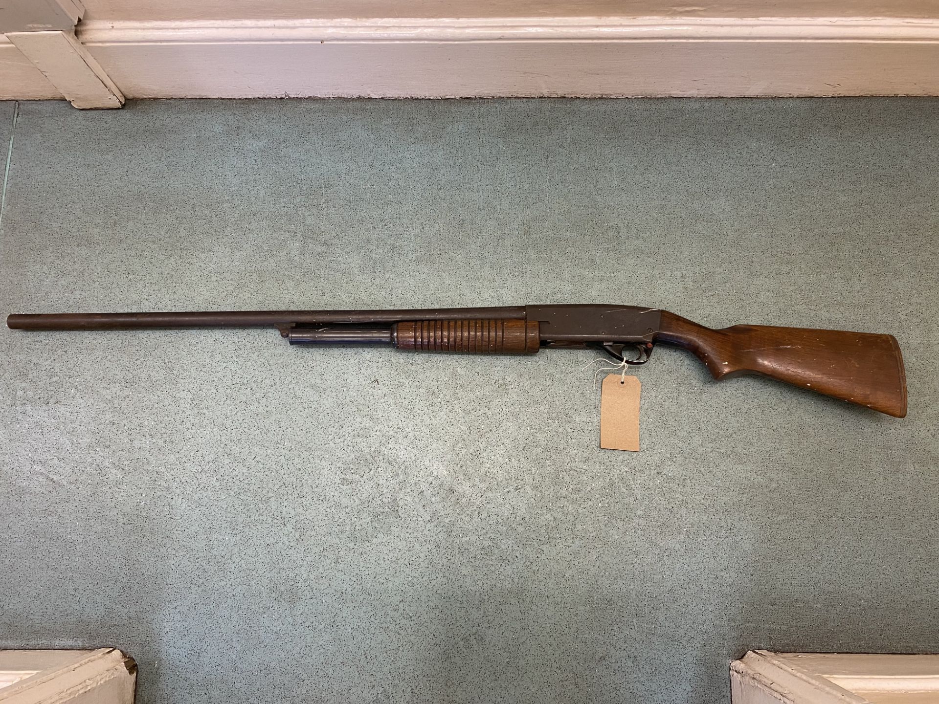 Savage12 bore pump action shotgun, Shotgun licence is required to possess this gun.