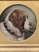 Framed and glazed oil painting of a dog