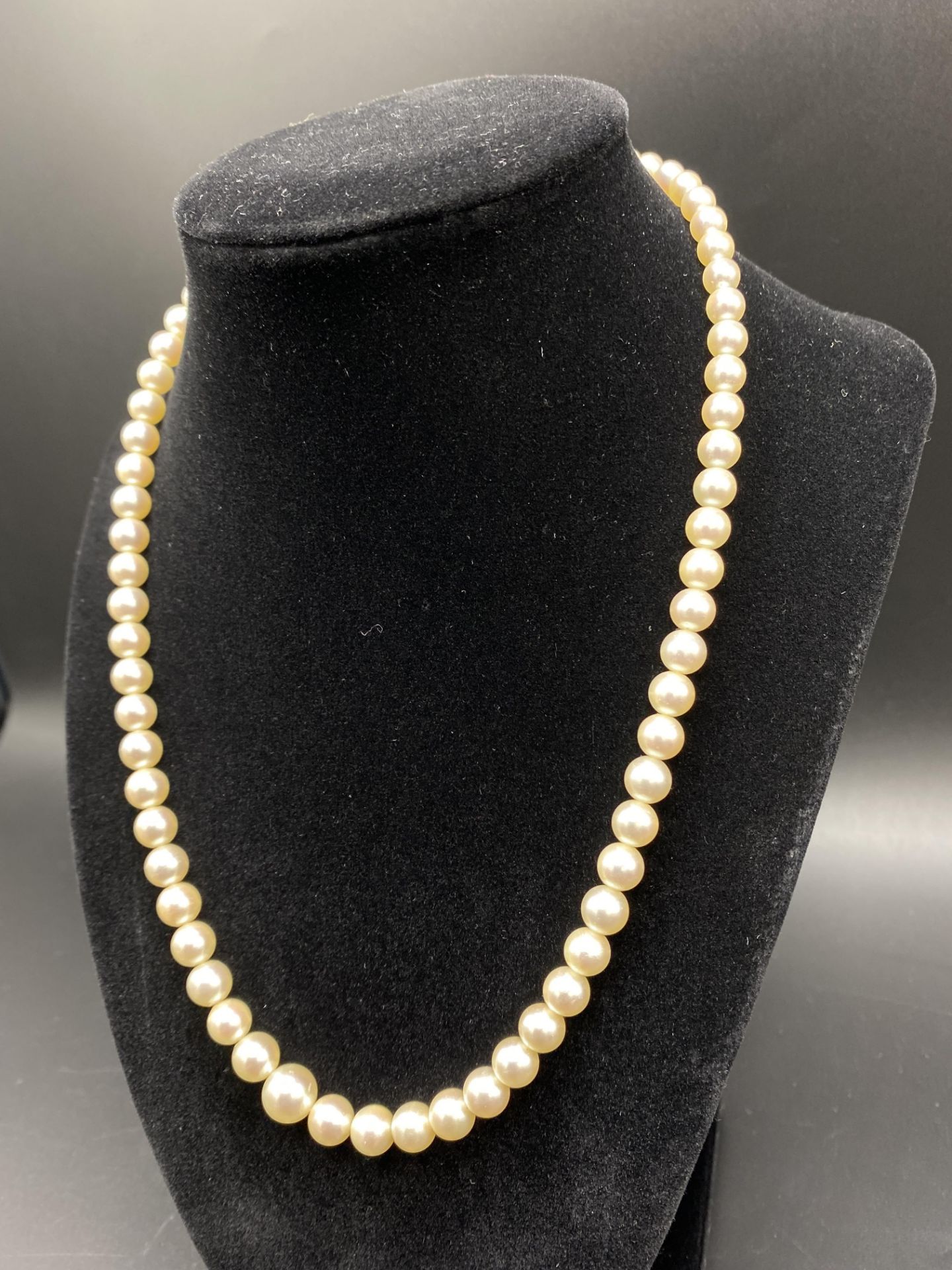 Pearl necklace with matching earrings - Image 4 of 7