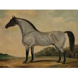 J. Hobart - Framed oil on canvas of a stallion.