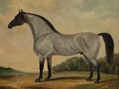 J. Hobart - Framed oil on canvas of a stallion.